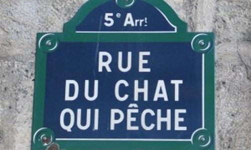 paris animal paris animal
